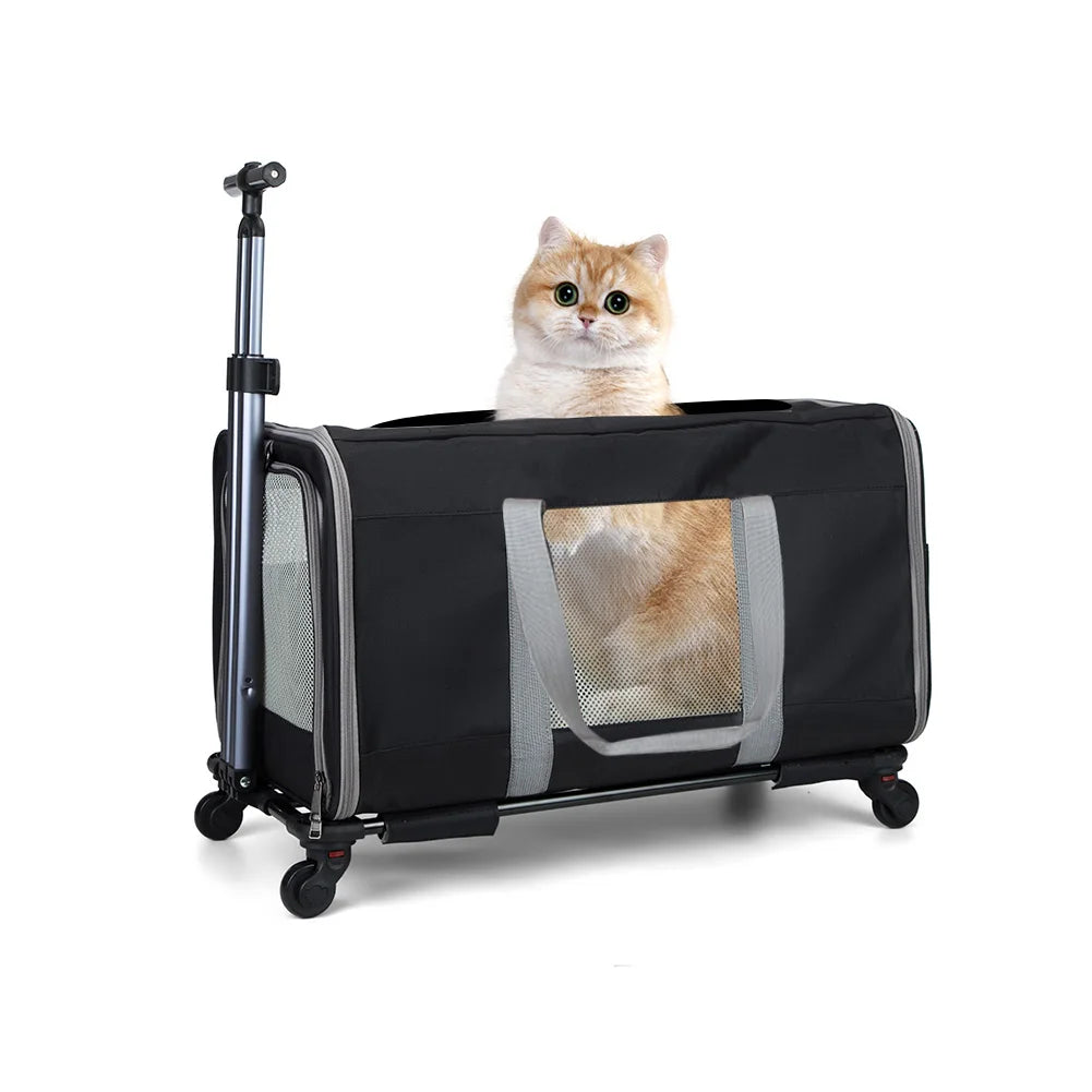 Cat trolley for 2 cats – Cat transport box large with wheels for 2 animals – Transport bag with wheels & safety belts for travel