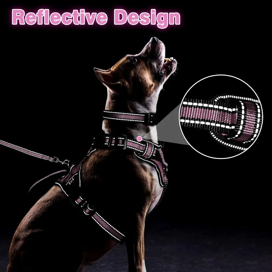 Allinone Reflective Pet Harness Collar and Leash Set with Adjustable Buckles for Puppies Small Medium Large and ExtraLarge Dogs
