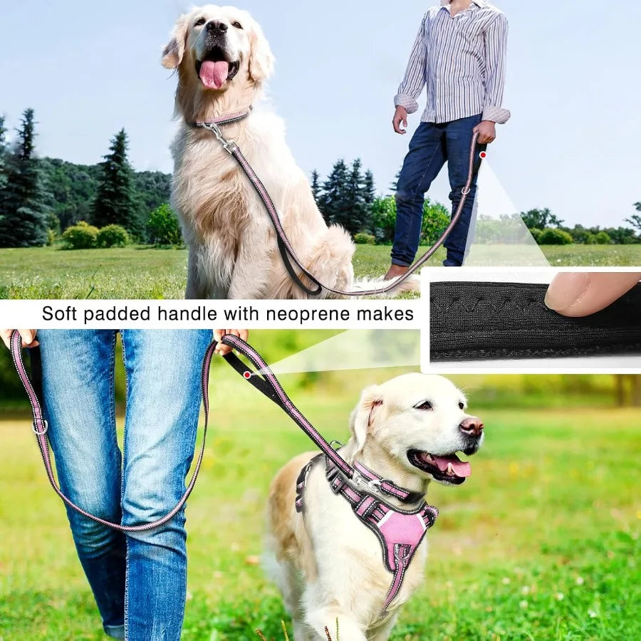 Allinone Reflective Pet Harness Collar and Leash Set with Adjustable Buckles for Puppies Small Medium Large and ExtraLarge Dogs