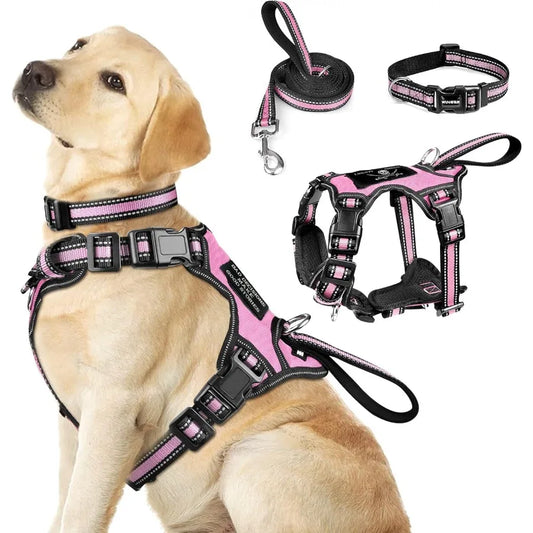 Allinone Reflective Pet Harness Collar and Leash Set with Adjustable Buckles for Puppies Small Medium Large and ExtraLarge Dogs